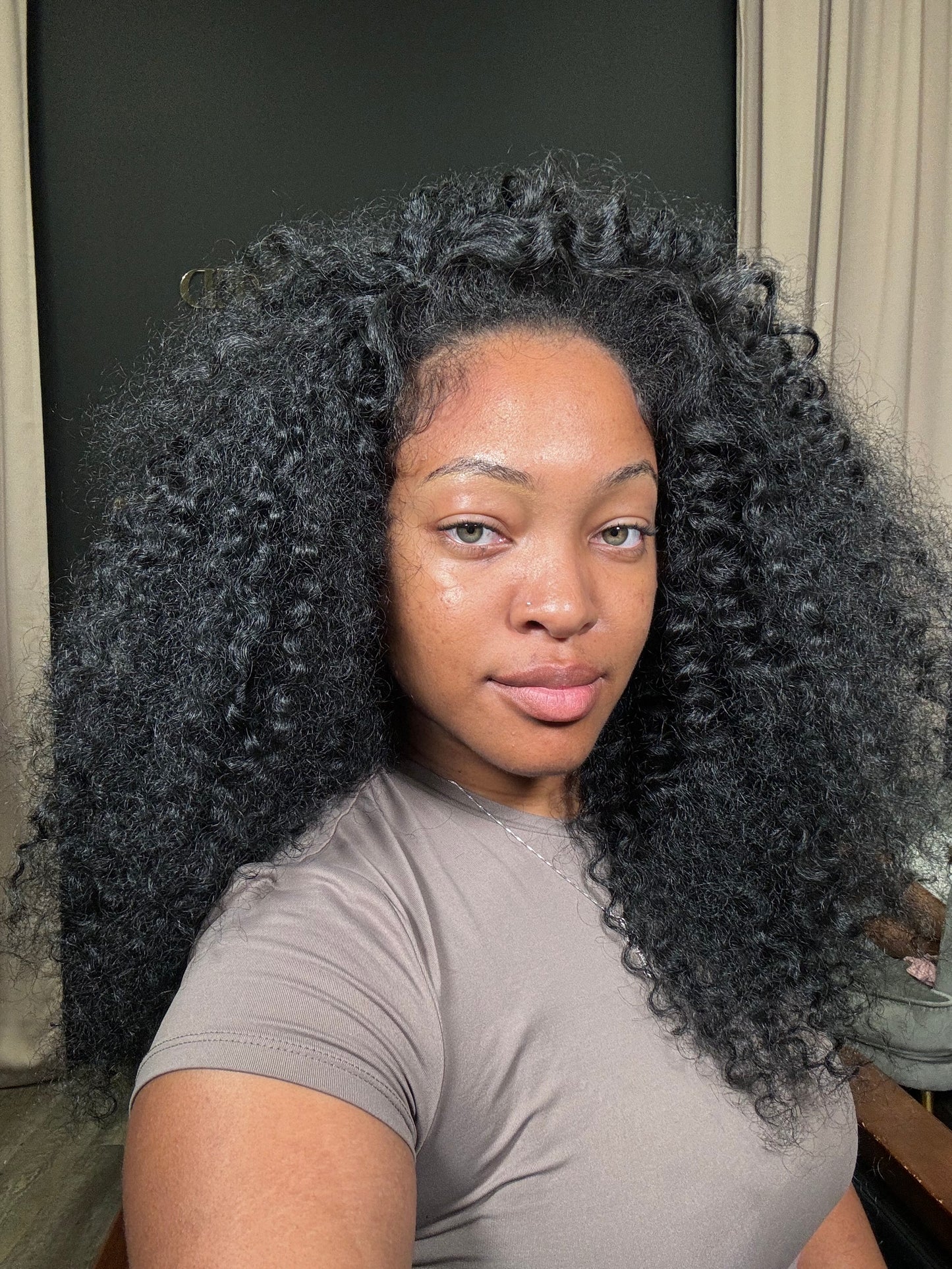 Burmese Curly