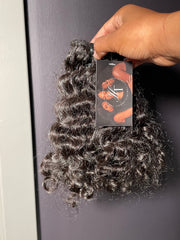 Raw Burmese Curly