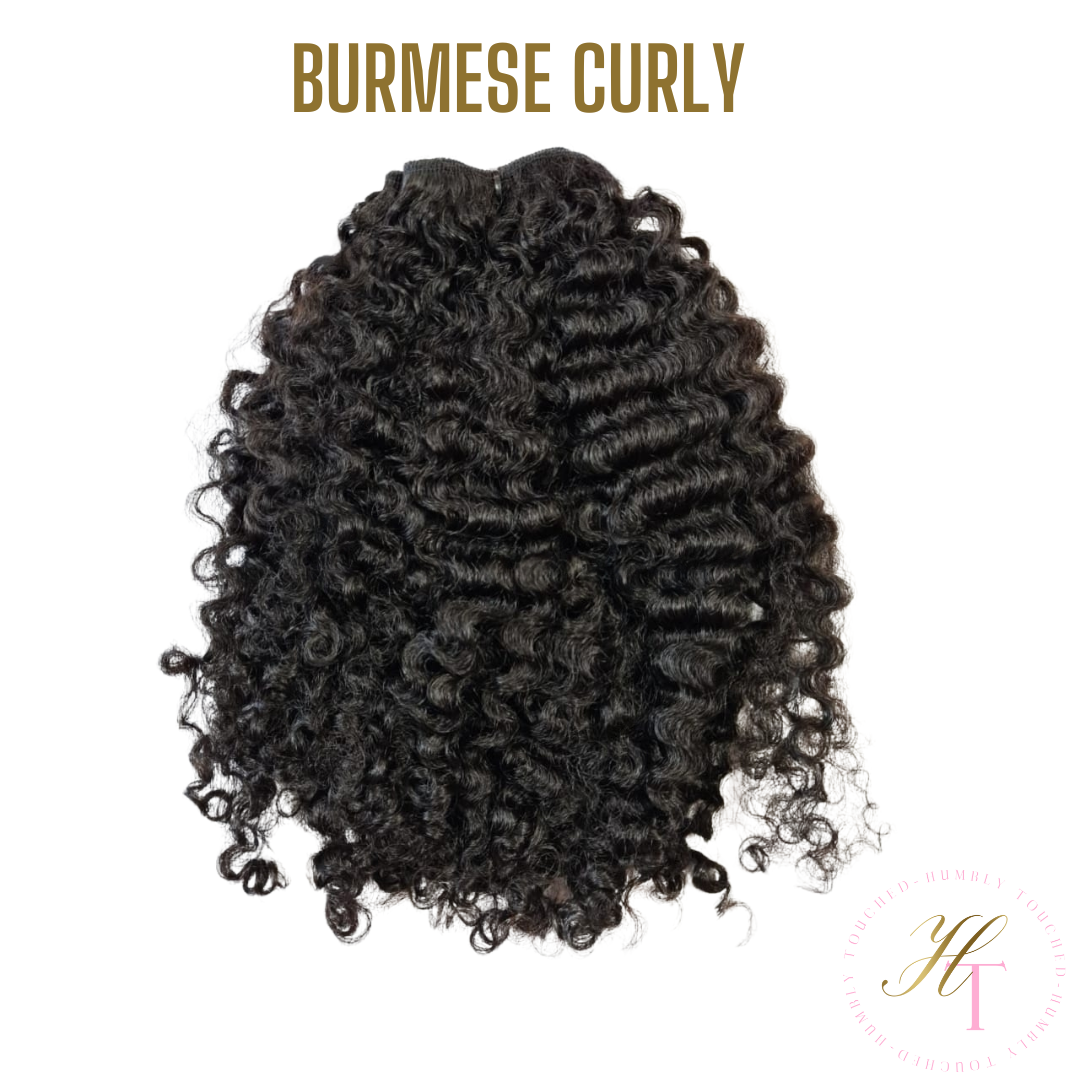 Raw Burmese Curly